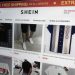 Quick-fashion retailer Shein’s transport emissions bounce in 2024 – CTV Information