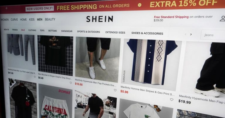 Quick-fashion retailer Shein’s transport emissions bounce in 2024 – CTV Information
