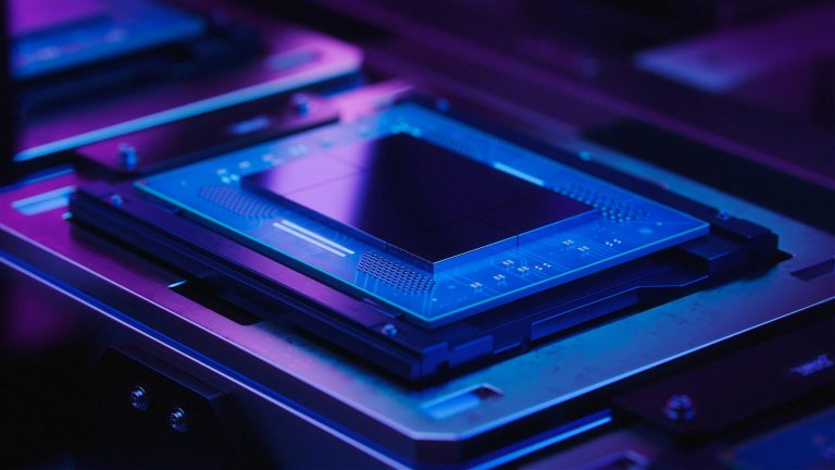 Huge Tech Roses to construct the system you good for the longer term