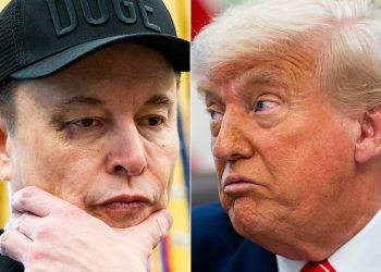 Musk says Trump is “within the Epstein information”, which is why they weren’t revealed within the newest slam