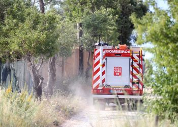 They search for Madeleine McCann in Portugal, twenty years after their disappearance