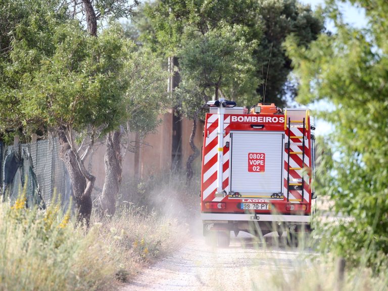 They search for Madeleine McCann in Portugal, twenty years after their disappearance