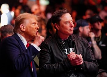 Elon says Trump is “in Epstein recordsdata” as a result of their relationship implodes publicly