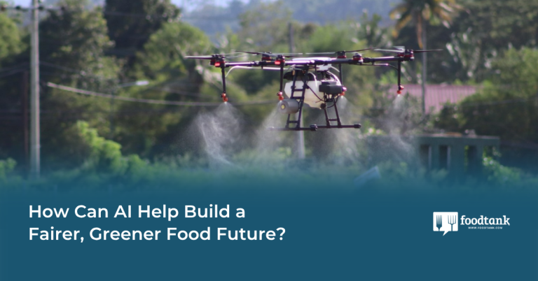 Ed | How Can AI Assist Construct a Fairer, Greener Meals Future? – Meals Tank
