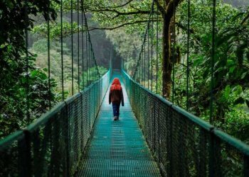 US, Canada, Mexico, Germany, UK, China, Japan, India, Australia, Thailand, Indonesia, UAE, South Africa, and Extra Drive International Ecotourism Growth as Sustainability and Cultural Immersion Reshape Journey from 2024 to 2035: New Report