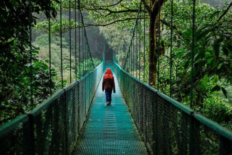 US, Canada, Mexico, Germany, UK, China, Japan, India, Australia, Thailand, Indonesia, UAE, South Africa, and Extra Drive International Ecotourism Growth as Sustainability and Cultural Immersion Reshape Journey from 2024 to 2035: New Report