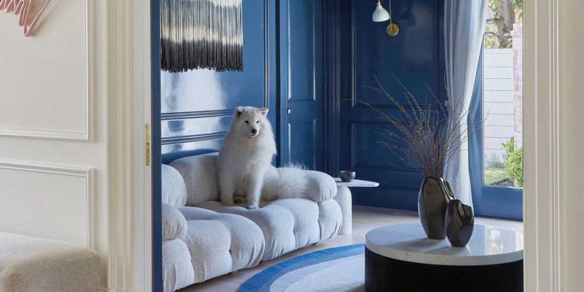 Tina Ramchandani on her Figaro canine, flowers, colour + extra