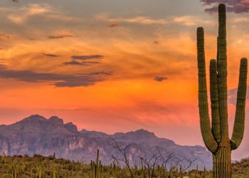 CMS expands tribal well being care entry by approving Medicaid state plan amendments for six states