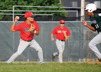 Bobcats transforms two to the north | Information, sports activities, jobs