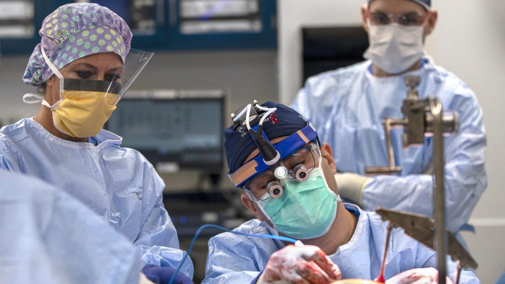 Milton S. Hershey Medical Heart Cardiac Surgical procedure program earns three-star scores from The Society of Thoracic Surgeons