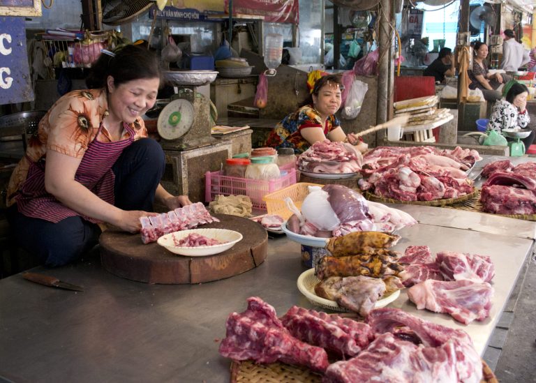 ILRI and companions in Vietnam mark World Meals Security Day 2025