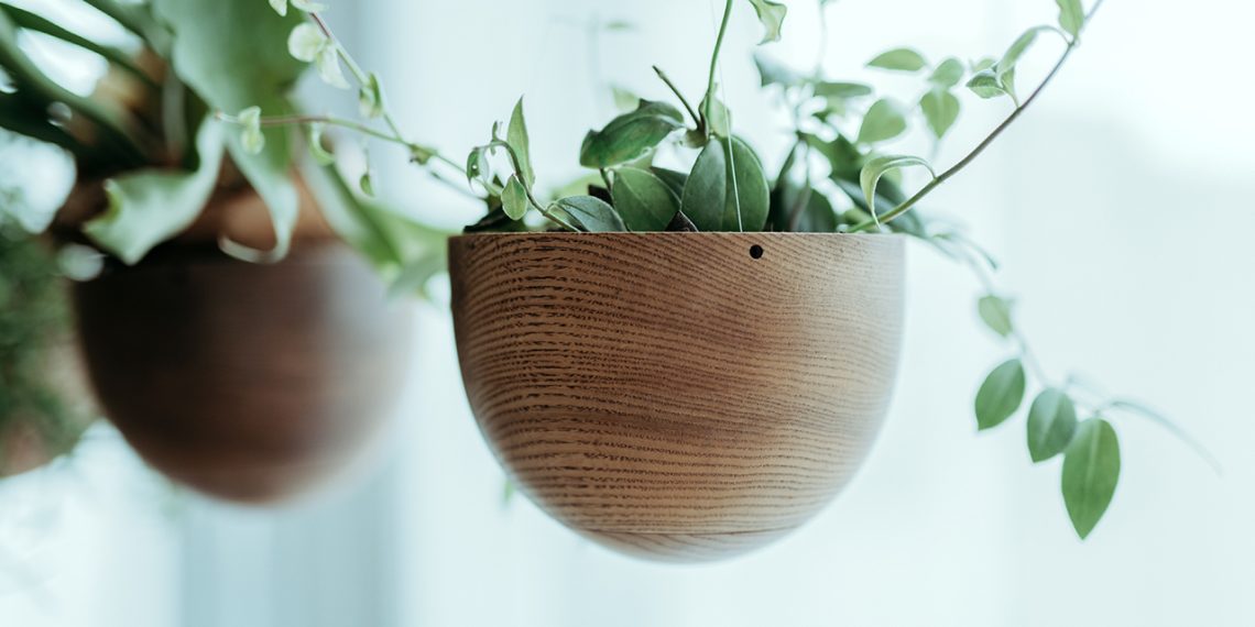 The neck presents a suspended plant that feels missing in weight
