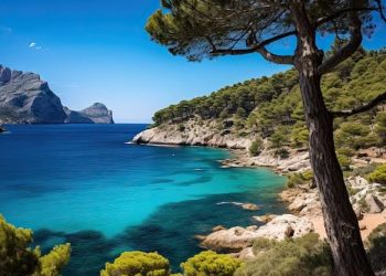 UK and Spain Journey Updates 2025: New Visa Guidelines, Brief-Time period Rental Registration, E-Gate Adjustments, and Mallorca Flight Improvements Impacting British Vacationers