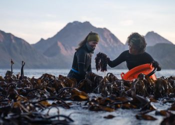 New Examine Goals to Put Arctic Meals on the World Menu