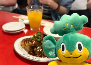 Our reporter tries nuikatsu for the primary time, however is he too previous for this otaku way of life passion?