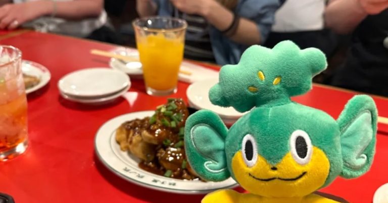 Our reporter tries nuikatsu for the primary time, however is he too previous for this otaku way of life passion?