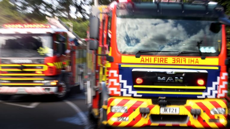Waihi home hearth claims life, crews battle blaze
