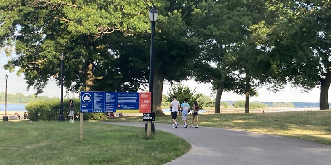 Well being Test: Summer season Well being and Wellness Occasions in The Bronx