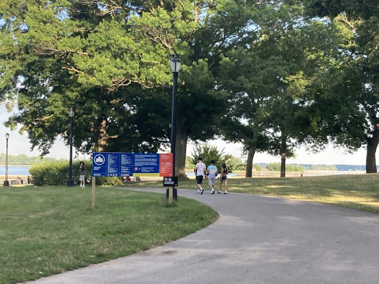 Well being Test: Summer season Well being and Wellness Occasions in The Bronx