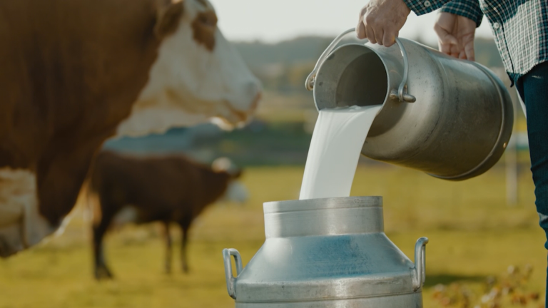 Misunderstood meals: The reality behind viral well being claims – Indianapolis Information | Indiana Climate | Indiana Visitors