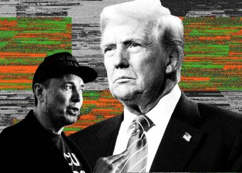 Elon Musk discovers that Trump is just not purchased