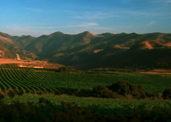 New Tourism Information Exhibits Touring Traits for Santa Ynez Valley Guests