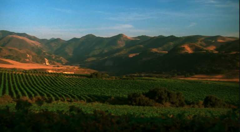 New Tourism Information Exhibits Touring Traits for Santa Ynez Valley Guests