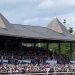 Protecting Belmont Stakes pageant returns to Fox Sports activities
