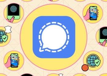 Tips on how to maximize your privateness utilizing sign calls and chat