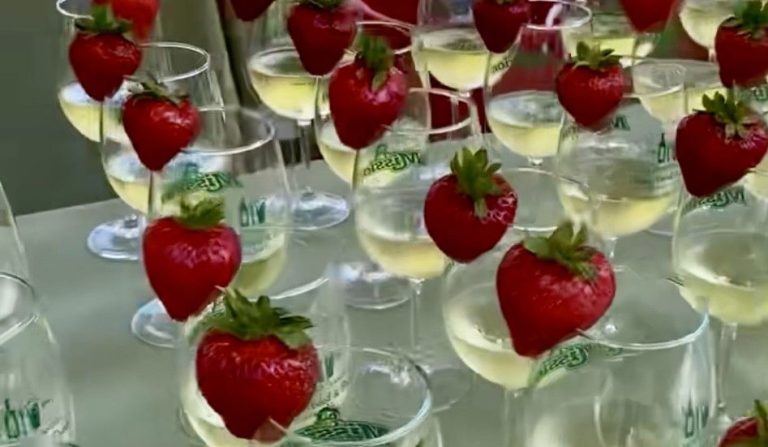 Casa Pacific advantages from annual wine, meals and brew fest