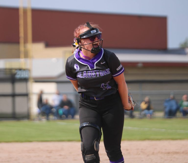 Schone, Sundquist wins all-state honors | Information, sports activities, jobs