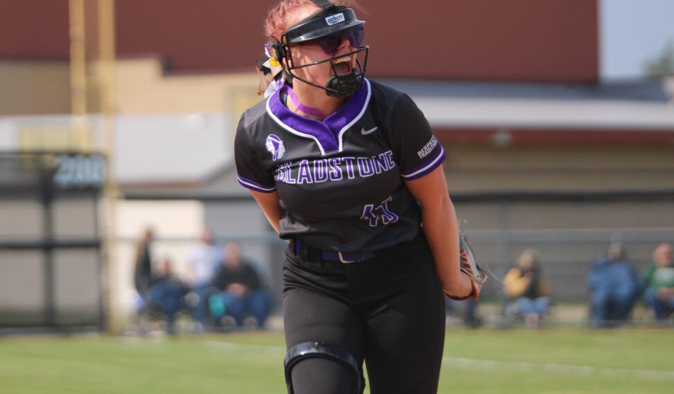 Schone, Sundquist wins all-state honors | Information, sports activities, jobs