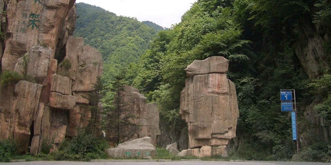 Act like savages within the forest, eat uncooked meals: 10,000 folks apply for distinctive job as iconic vacationer spot affords $70 each day