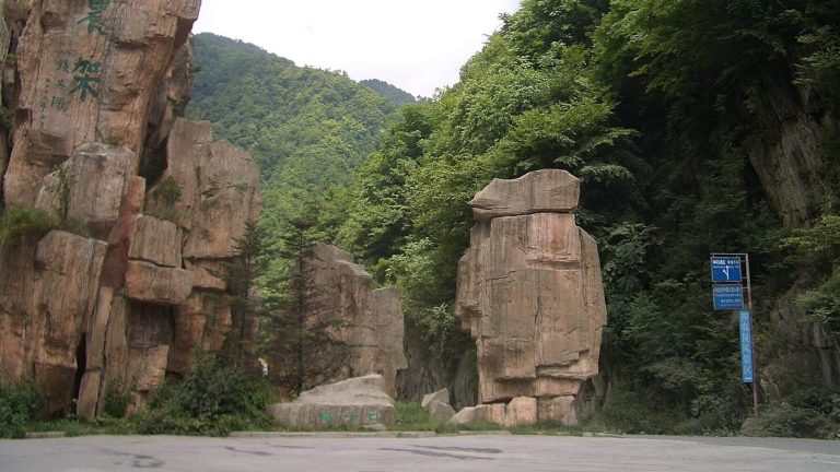 Act like savages within the forest, eat uncooked meals: 10,000 folks apply for distinctive job as iconic vacationer spot affords $70 each day