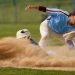 The extraordinary baseball season of South Williamsport ends within the quarterfinals | Information, sports activities, jobs