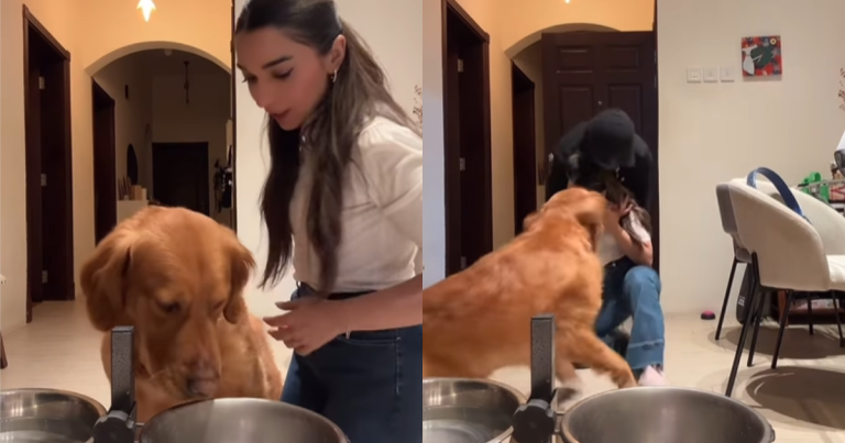 Video: Canine Leaves Meals Behind To Shield Mother From ‘Intruder’