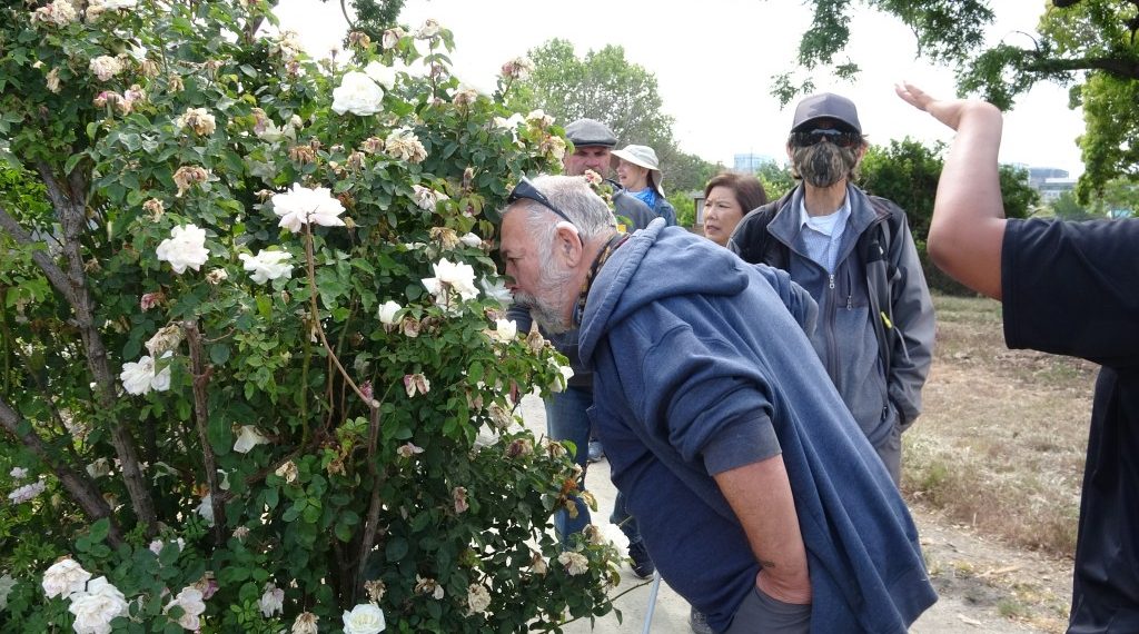 Strolling with all 5 senses can enhance well being for individuals with disabilities – The Mercury Information
