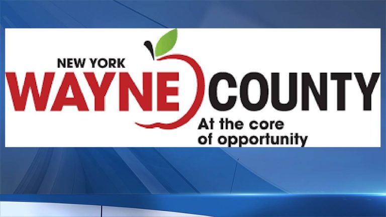 Free healthcare screenings for youths accessible in Wayne County June 25