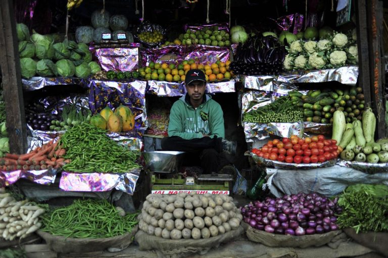 What’s actually in our meals? A world Take a look at Meals Composition Databases—and the Gaps We Have to Repair