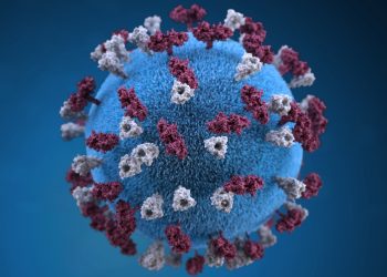 ‘Extremely contagious virus’ prompts CDC journey alert