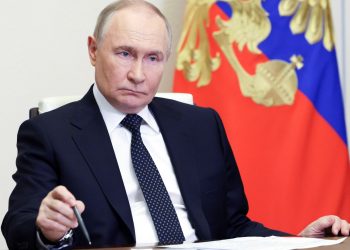 Putin rejects a doable hearth and a summit with a Zelenski for the “terrorist assaults”.