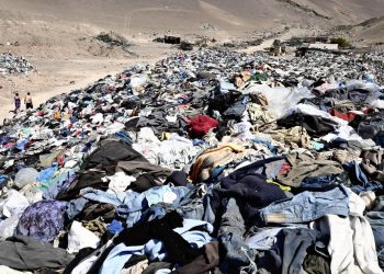 French Senate addresses the problem of curbing the rise of ‘quick trend’