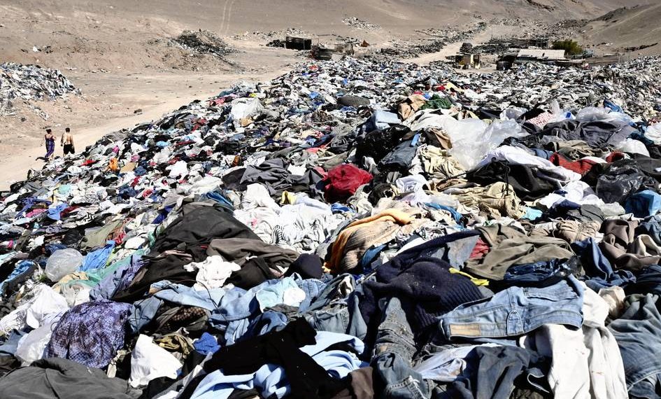 French Senate addresses the problem of curbing the rise of ‘quick trend’