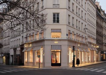 overview of a reinvented sector