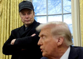 The struggle between Donald Trump and Elon Musk places the Casa Rosada in entrance of a crossroads