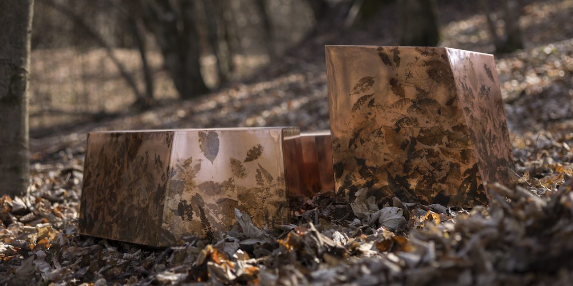 Alcarol lets his nature left his mark within the fingerprint assortment