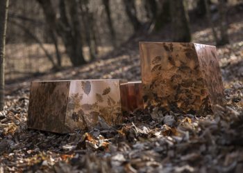 Alcarol lets his nature left his mark within the fingerprint assortment