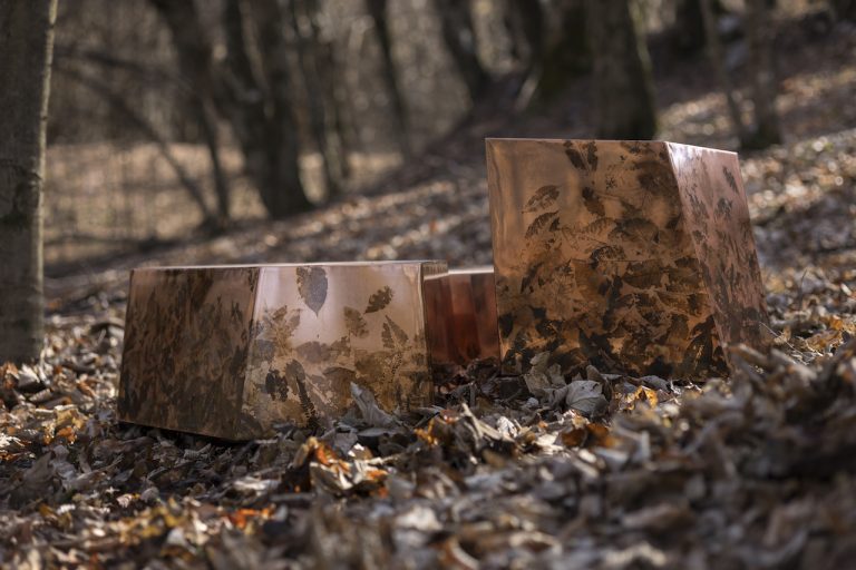 Alcarol lets his nature left his mark within the fingerprint assortment
