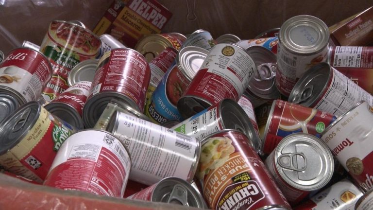 HACAP Meals Reservoir launches summer time meals drive on June 1 to battle starvation in Japanese Iowa