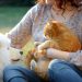 The info is in: Caring for a pet is sweet in your well being